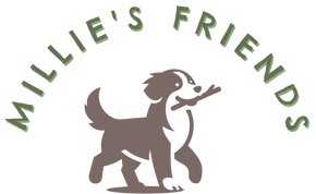 Millie's Friends